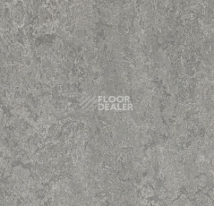 Линолеум Forbo Marmoleum Marbled Authentic 3146 serene grey фото 1 | FLOORDEALER